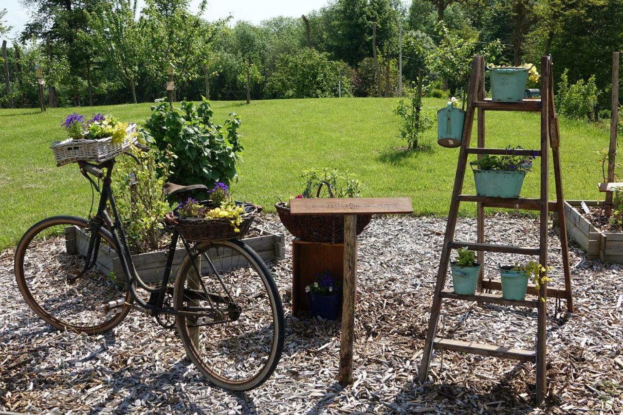 Le Manoir Des Aromes Hotel Brugny-Vaudancourt ภายนอก รูปภาพ